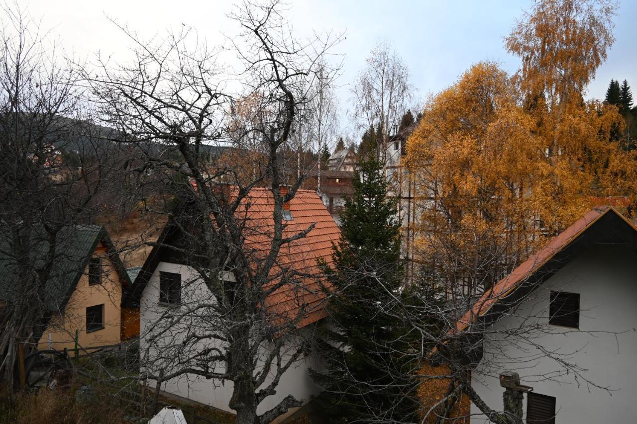Apartman Vukasin Копаоник Екстериор снимка