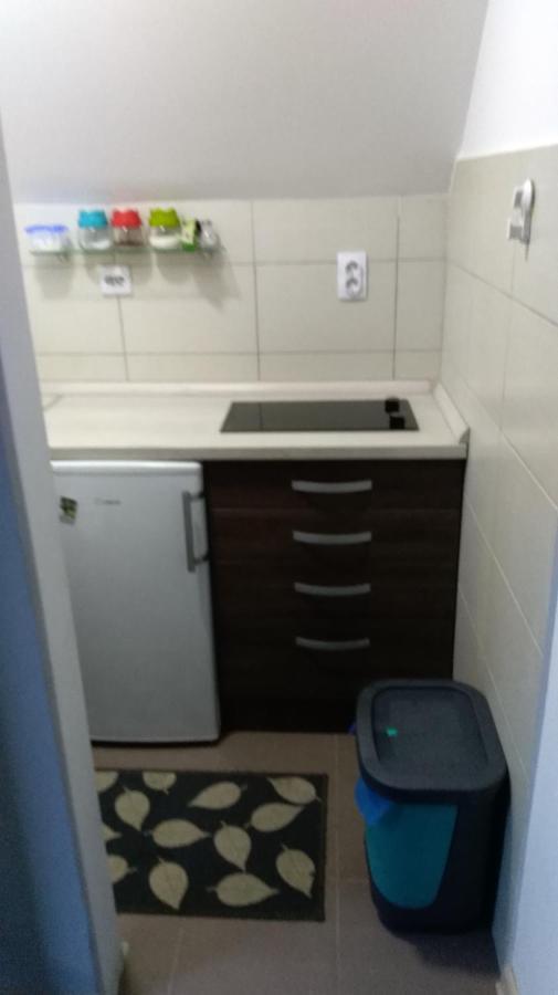 Apartman Vukasin Копаоник Екстериор снимка